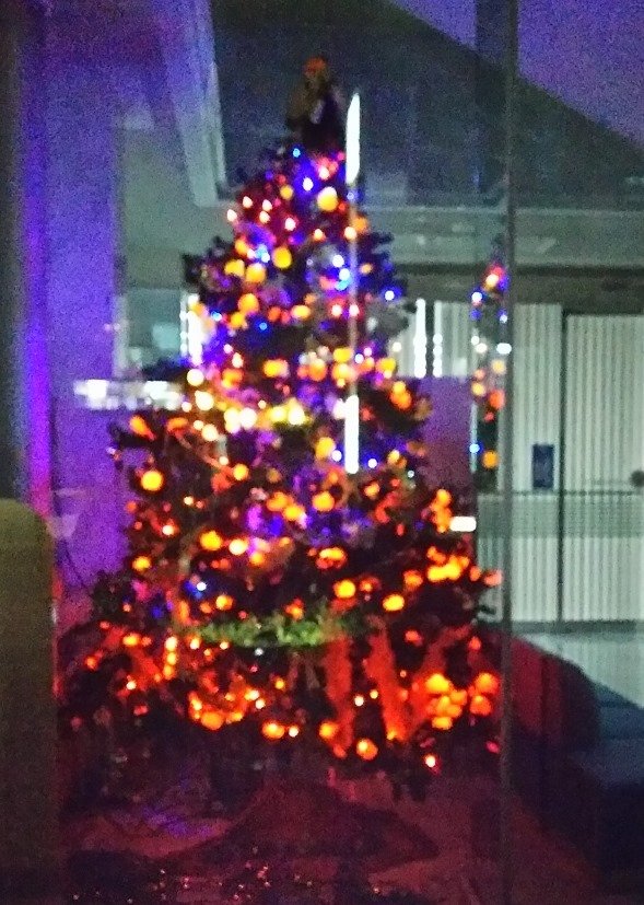 みかんツリーが輝く八幡浜のクリスマス（写真提供：西川久美さん）