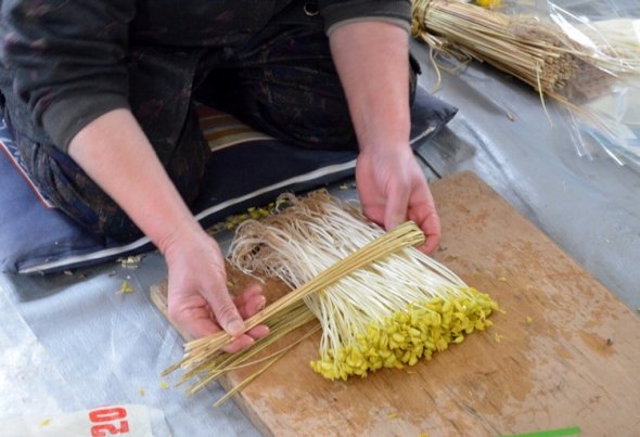 藁で結わえるのも小野川の伝統です。