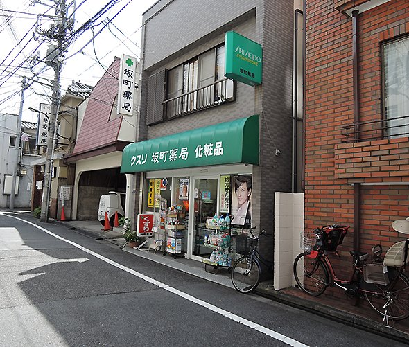 town20150811yotsuyasakamachi10.jpg
