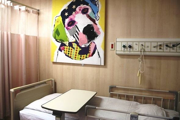 病室には気鋭アーティストの作品が飾られている