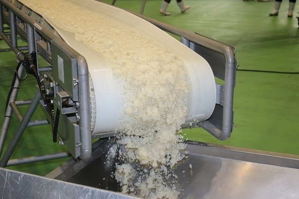 加工された米はベルトコンベアで運ばれる