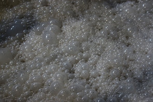 3日目は泡の量がさらに増え、激しく発酵している様子がうかがえる