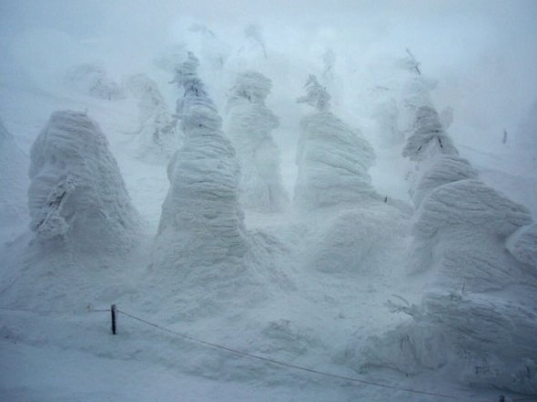 蔵王の樹氷（SEKIUCHIさん撮影、Wikipedia日本語版より）