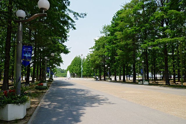花博記念公園鶴見緑地（Oilstreetさん撮影、Wikimedia Commonsより）