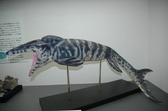 幻の恐竜 エゾミカサリュウ リアルな全身復元模型が展示開始 Ameba News アメーバニュース