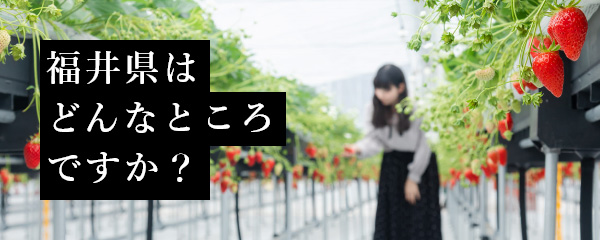 おじさん Orz ネット古参勢 あなたの顔文字の使い方 こんな風に思われてるかも コラム Jタウンネット 東京都