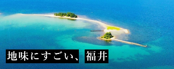 福井県2021