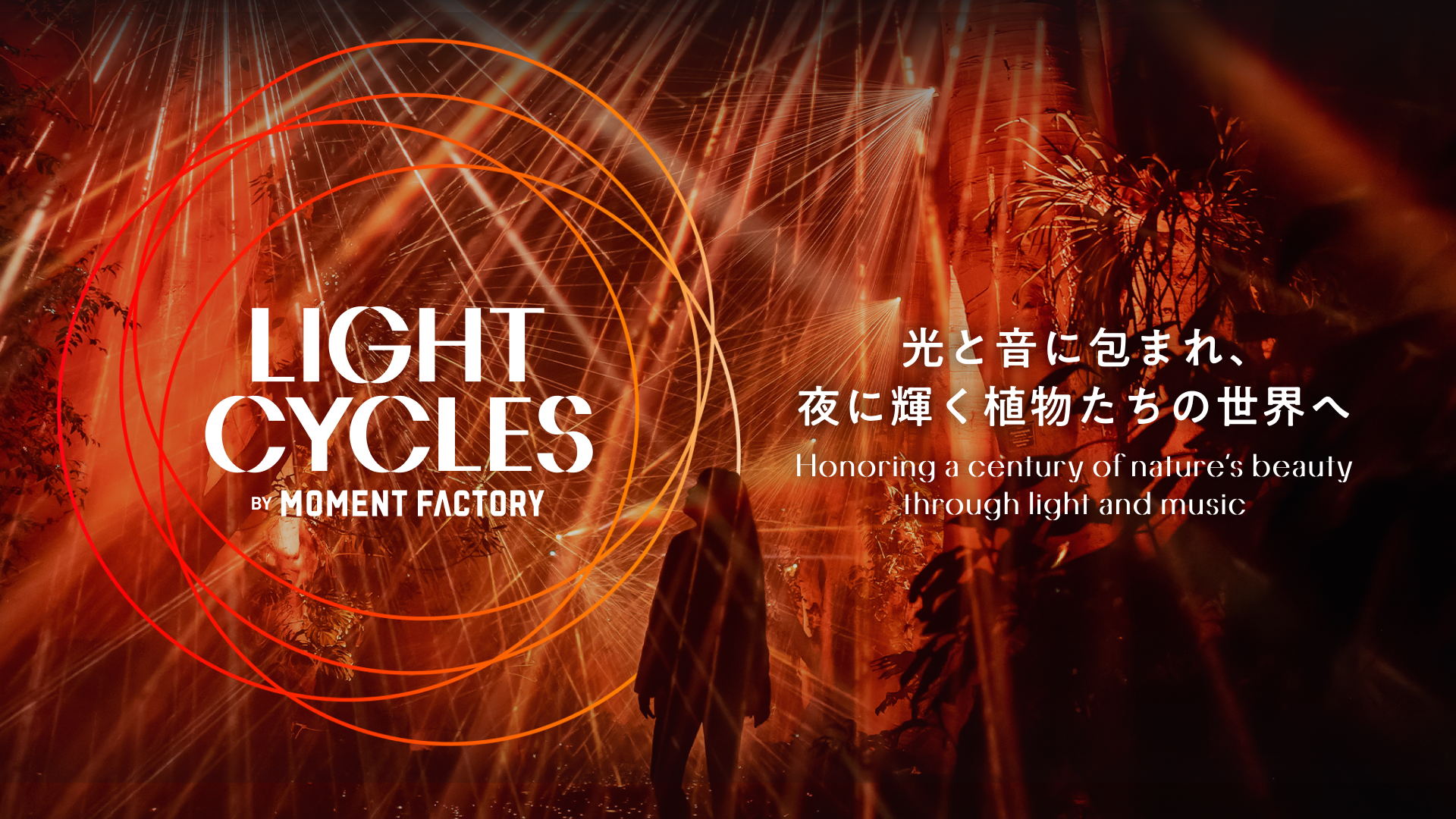 「LIGHT CYCLES KYOTO」