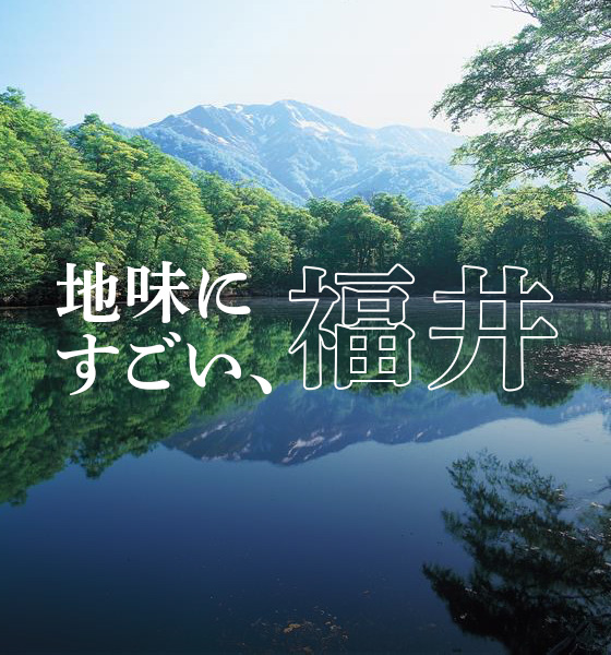 地味にすごい、福井