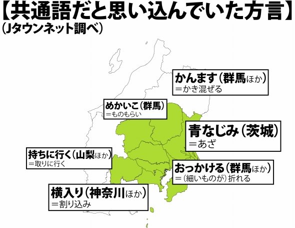 青なじみ とは何だ 茨城県民は共通語と信じて疑わない 関東の 実は方言 な言葉もこんなにある 全文表示 コラム Jタウンネット 東京都