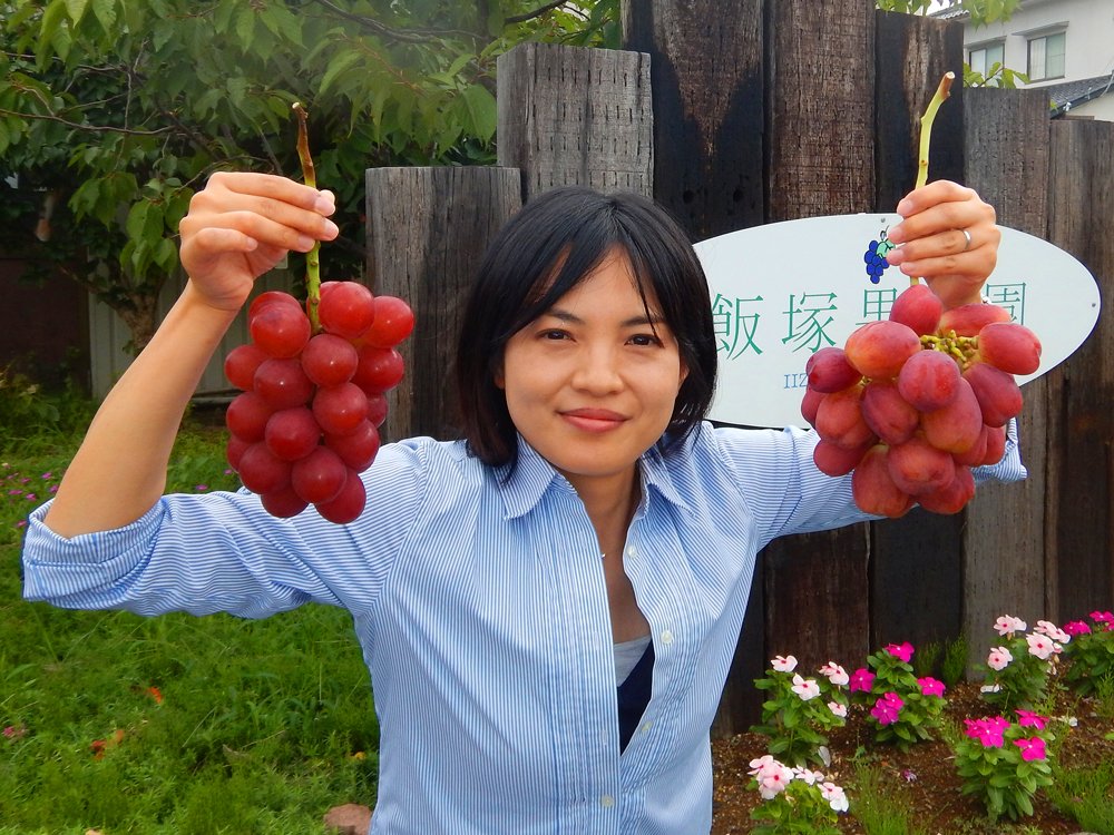 日本ブドウ栽培界の巨匠を訪ね 信州上田へ 飯塚芳幸さんの畑には すごいブドウ品種がごろごろ グルメ Jタウンネット 東京都