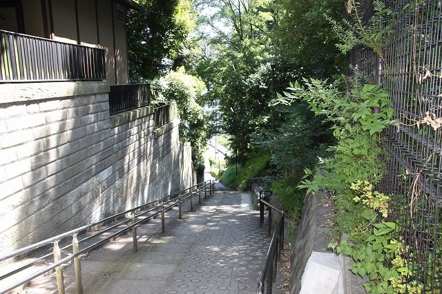 もはや崖か壁 都内イチの急斜面 のぞき坂 に行ってみた 全文表示 コラム Jタウンネット 東京都