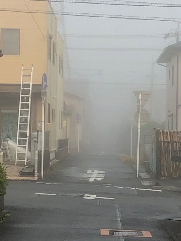 霧に包まれた静岡 文字通りサイレントヒルと化す 全文表示 ニュース Jタウンネット 東京都