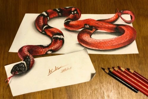 リアルすぎて閲覧注意 今にも動き出しそうなクモや蛇 色鉛筆イラストがすごい ニュース Jタウンネット 東京都
