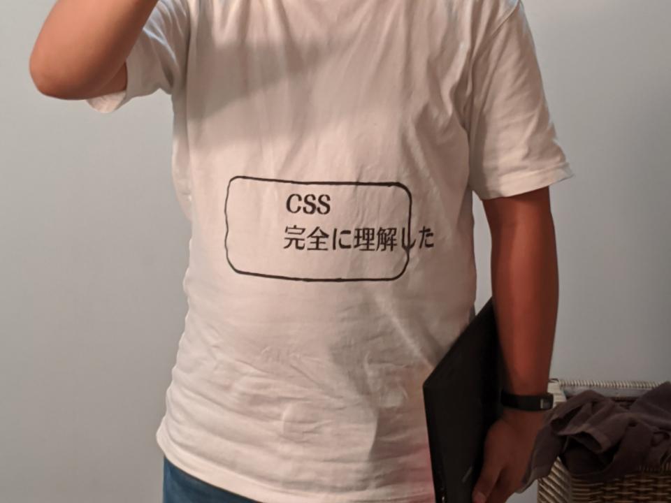Css完全に理解した Tシャツが完全にツッコミ待ち なぜこのデザインに 作者に聞いた 全文表示 コラム Jタウンネット 東京都