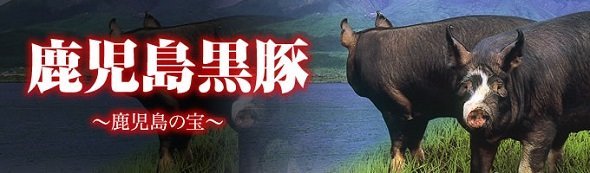 なぜ鹿児島の黒豚は 歩く野菜 と呼ばれるのか 薩摩の謎理論 の歴史を調べてみた Ameba News アメーバニュース