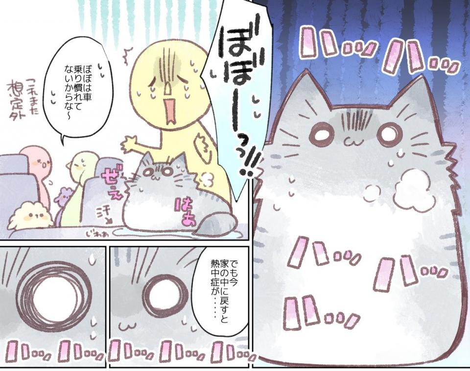 大切なペット 災害時にどうすれば 千葉停電のリアルな体験描いた漫画が考えさせられる 全文表示 ニュース Jタウンネット 東京都