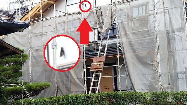 ニュース 刺さる