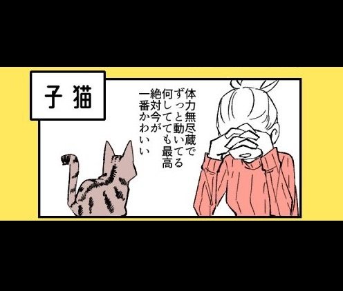 子猫も成猫も老猫も 絶対今が一番かわいい ニャンコの 飼い主あるある 描いた漫画に反響 全文表示 コラム Jタウンネット 東京都