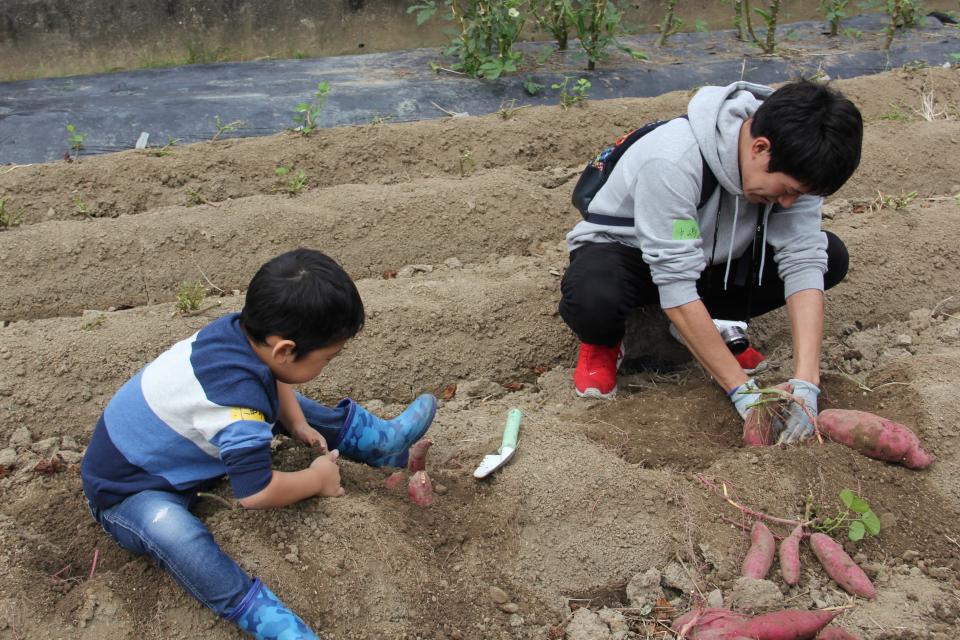 とにかく掘りまくる...