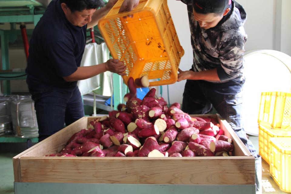 切ったイモは...