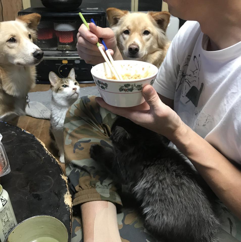 うどんを食べていたらアツい視線が 動物たちに囲まれた食事風景が話題 ニュース Jタウンネット 東京都