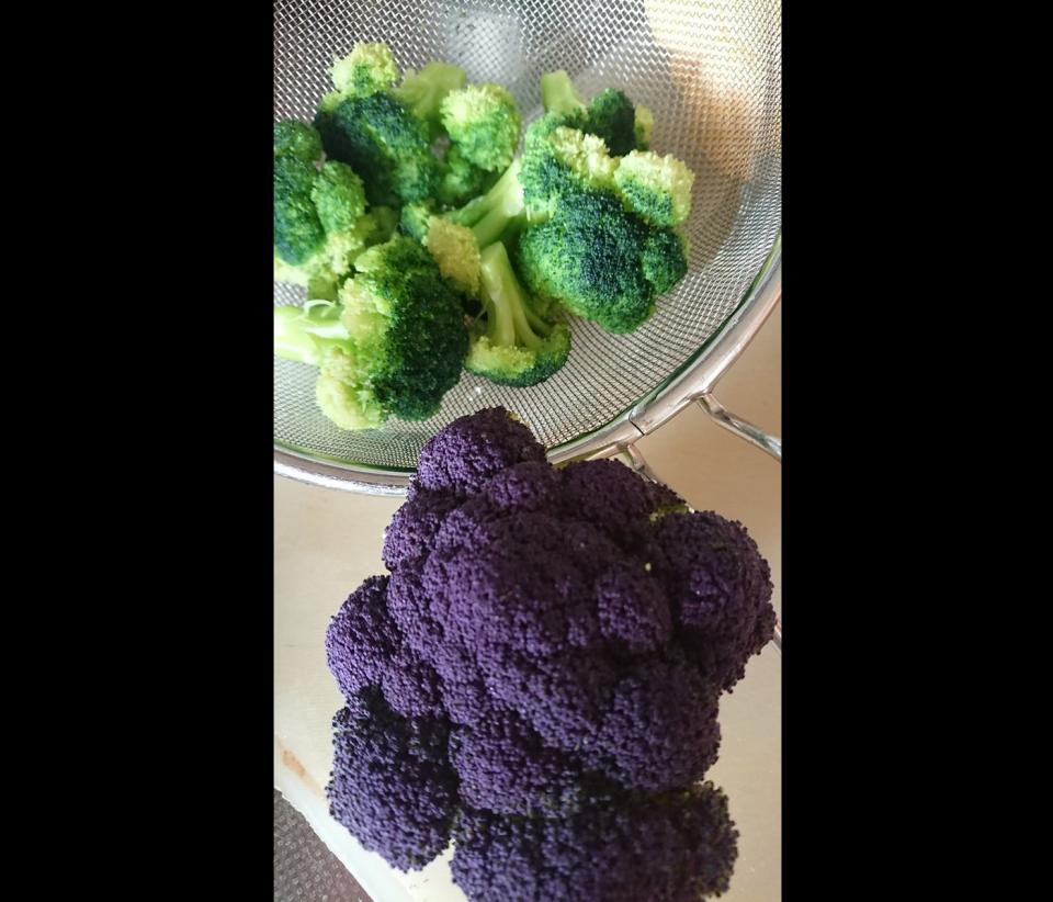 紫色のブロッコリーを茹でた結果にがっかり どうして緑になるの 野菜のプロに聞いた 全文表示 ニュース Jタウンネット 東京都