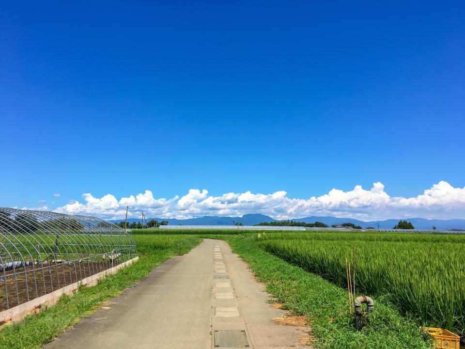 自分の住んでいる地域 田舎だと思う 都道府県別投票 Jタウン研究所 Jタウンネット 東京都