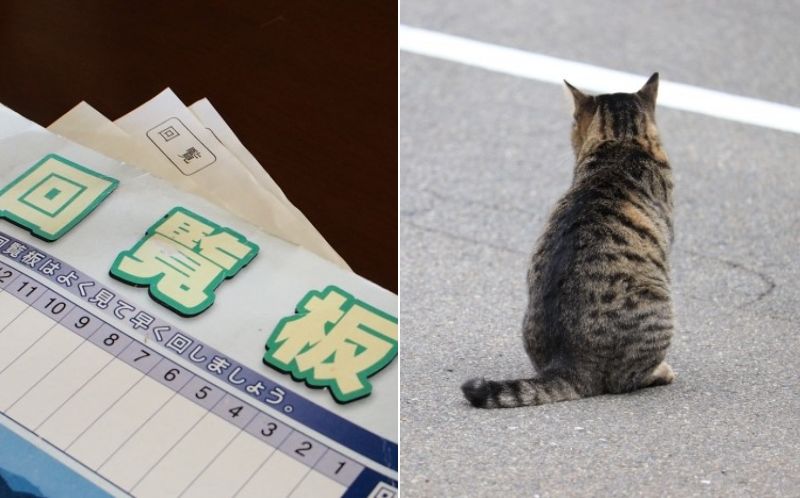 回覧板に 野良猫問題について 駆除のお願いかと思いきや 意外な内容に 泣けた 全文表示 コラム Jタウンネット 東京都