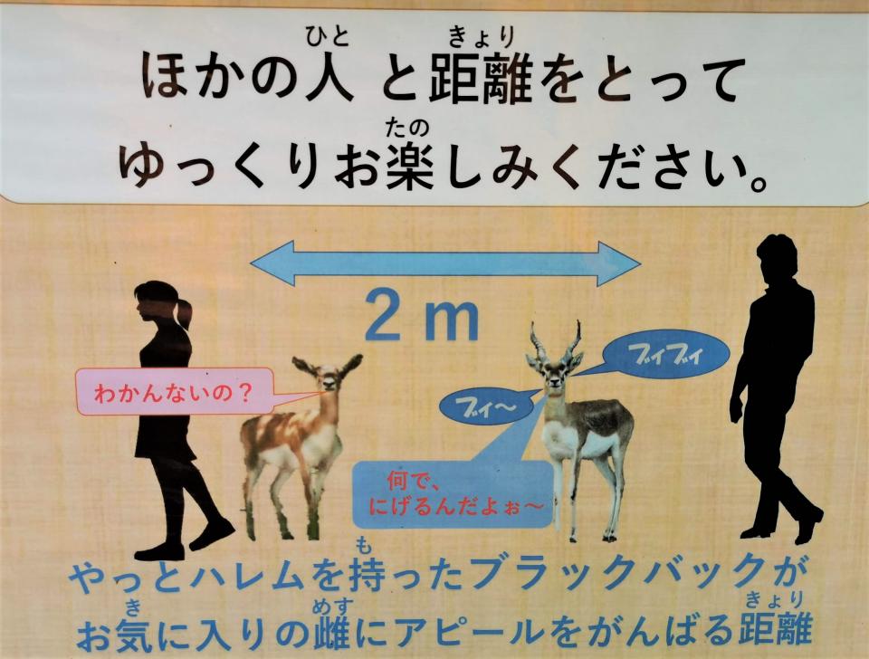 他人とは アヌビスヒヒ5頭分 の距離取って 専門的すぎて全然ピンと来ない動物園の案内が話題 コラム Jタウンネット 東京都