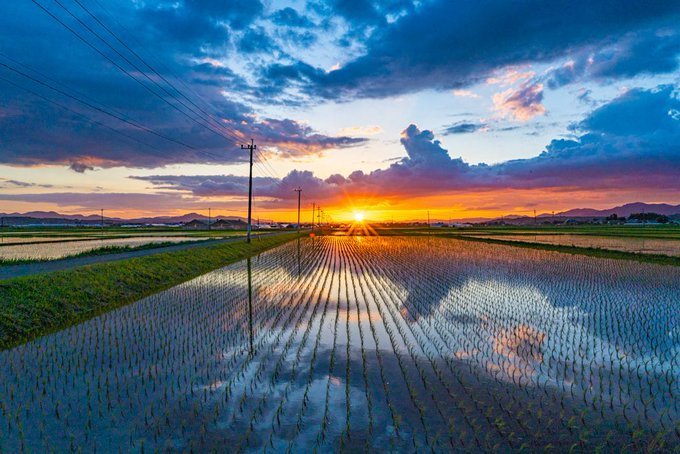 コンプリート 夕暮れ 田舎 画像