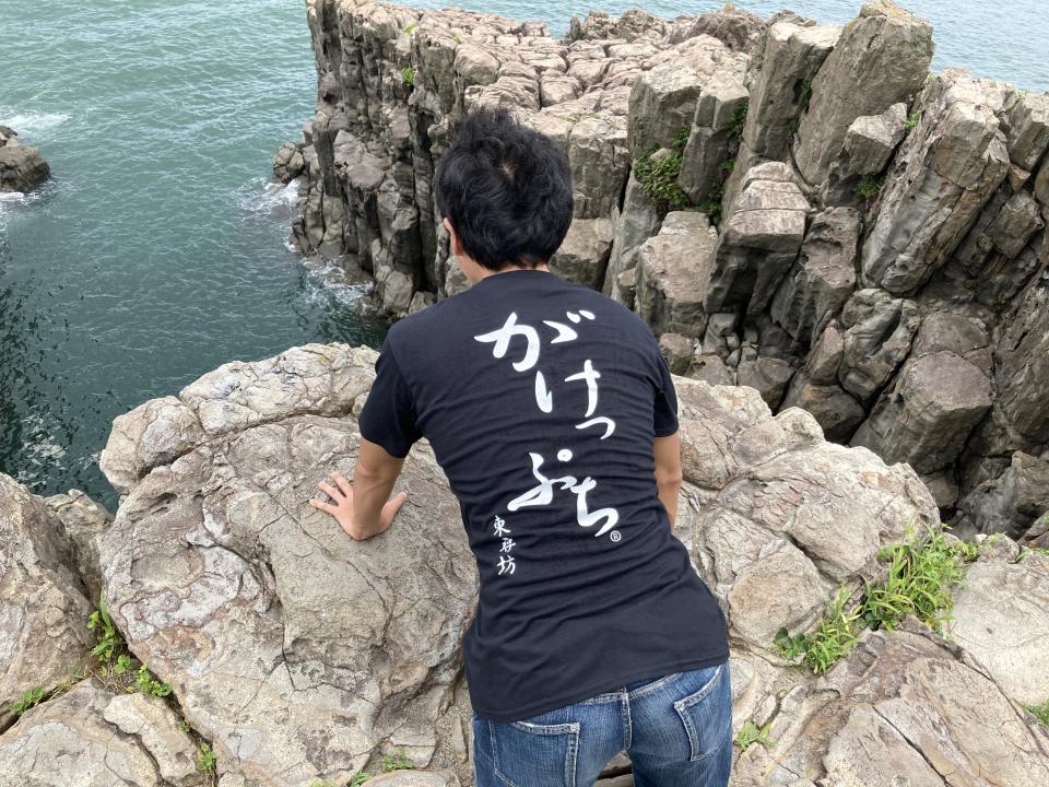 東尋坊って崖だけでしょ 誤解です ドローン遊覧飛行に隠れザウルス あなたの知らない 福井の魅力 教えます 全文表示 コラム Jタウンネット 東京都