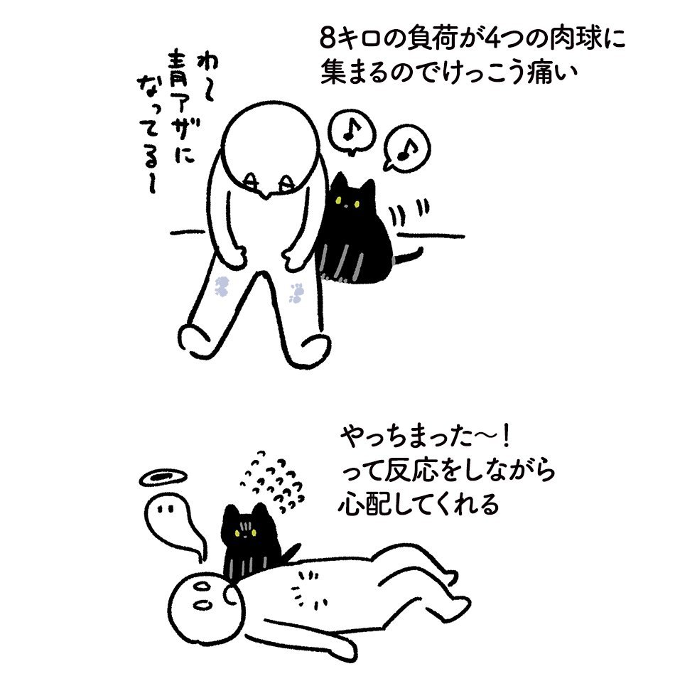 かわいいから許すけど 飼い主を愛のままにわがままに傷つけてしまうニャンコの行動がこちら Ameba News アメーバニュース