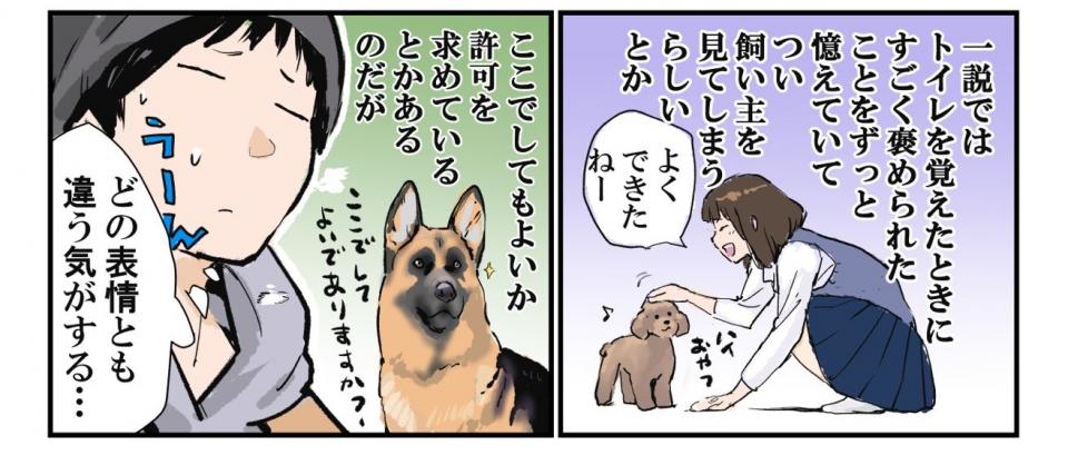 え なにこっち見てるんですか ウンチ中の犬が飼い主をじーっと見つめる理由 Ameba News アメーバニュース