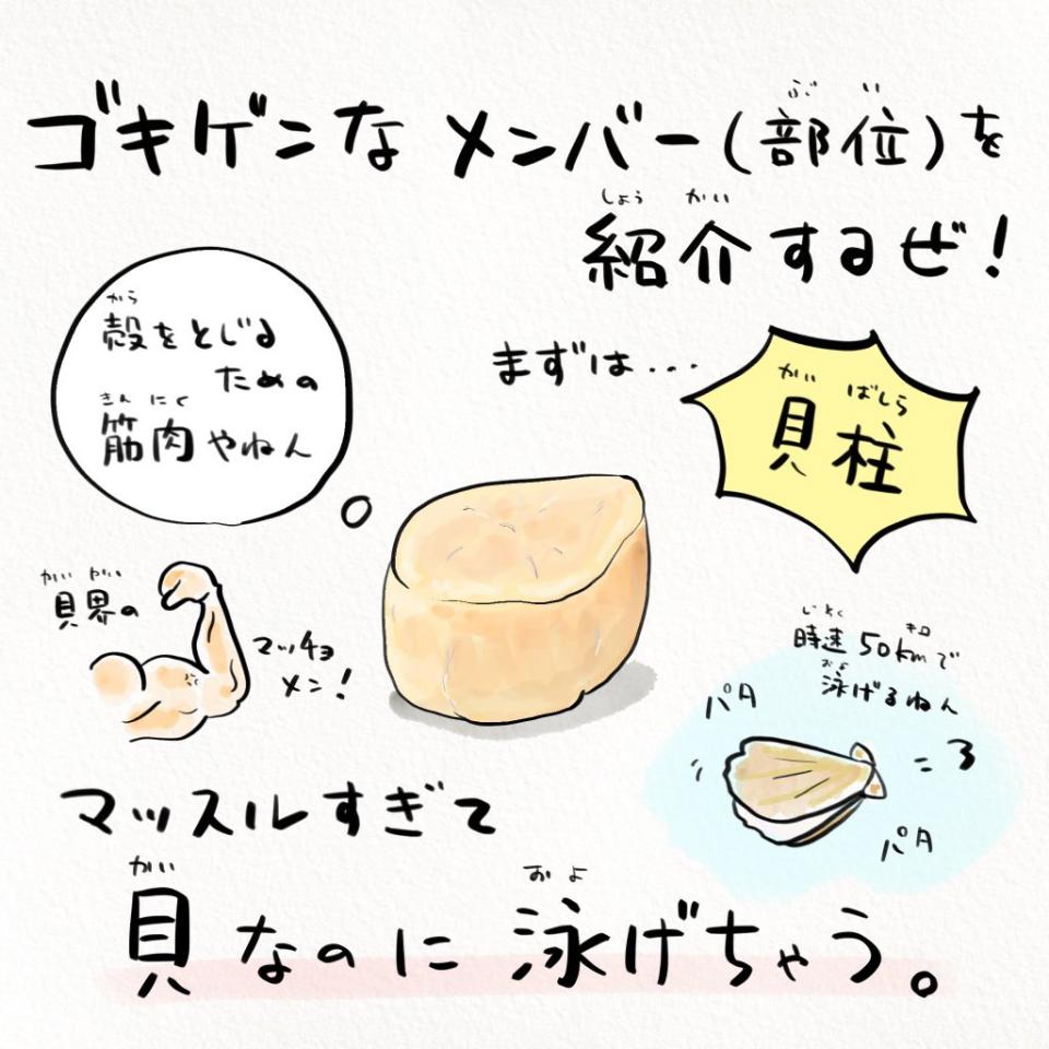 ホタテの 知られざる秘密 目が60 1個 泳ぐ速さは50キロ 解説イラストが話題に Ameba News アメーバニュース